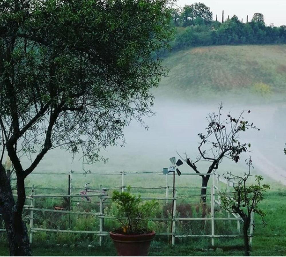 Podere La Paolina Montefollonico Exterior photo