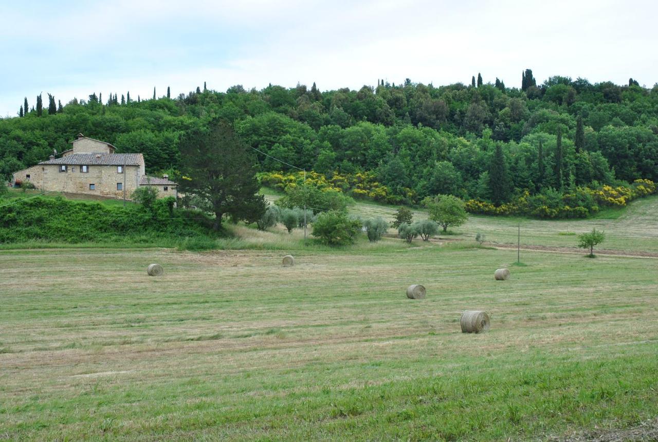 Podere La Paolina Montefollonico Exterior photo