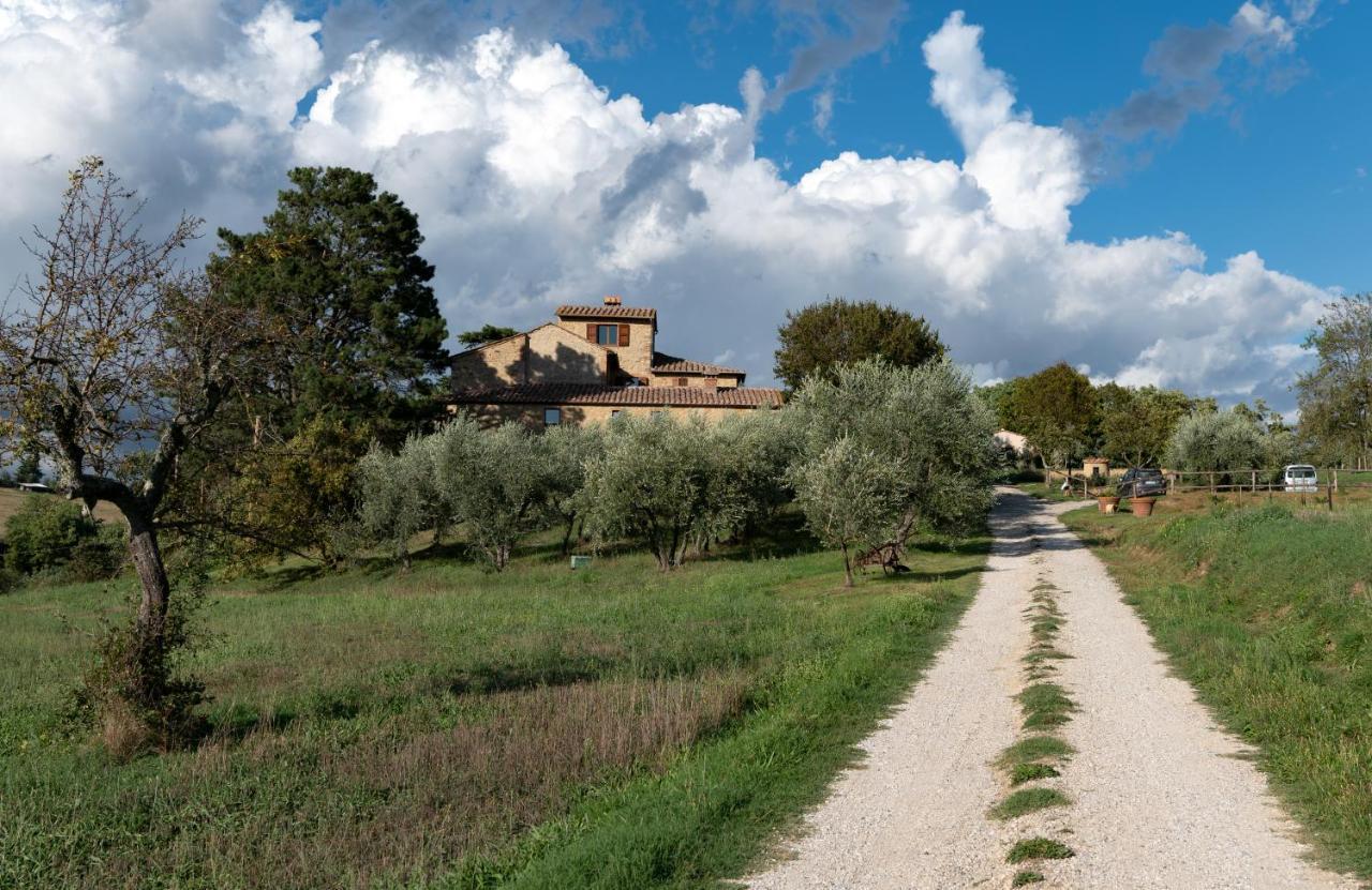 Podere La Paolina Montefollonico Exterior photo