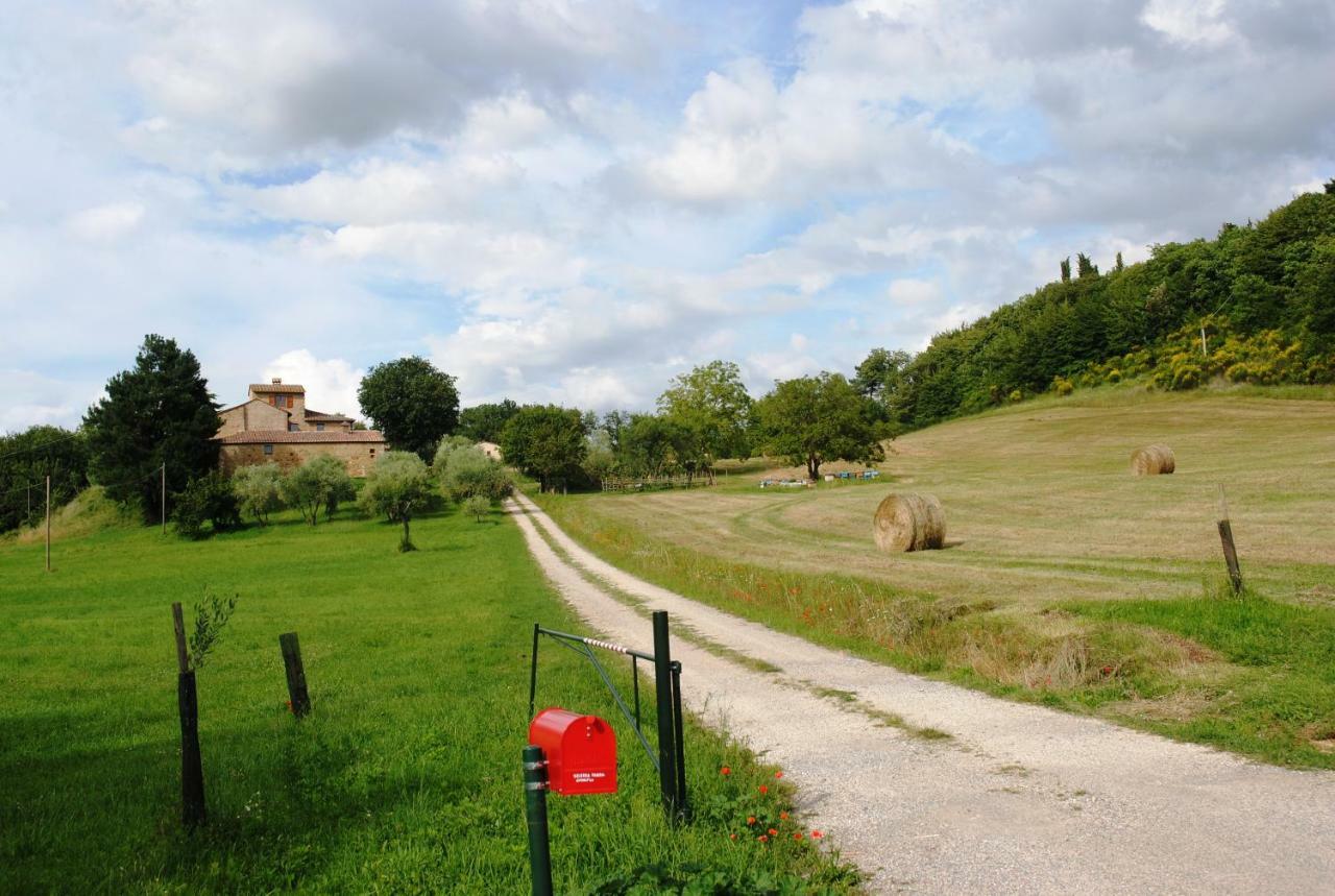 Podere La Paolina Montefollonico Exterior photo