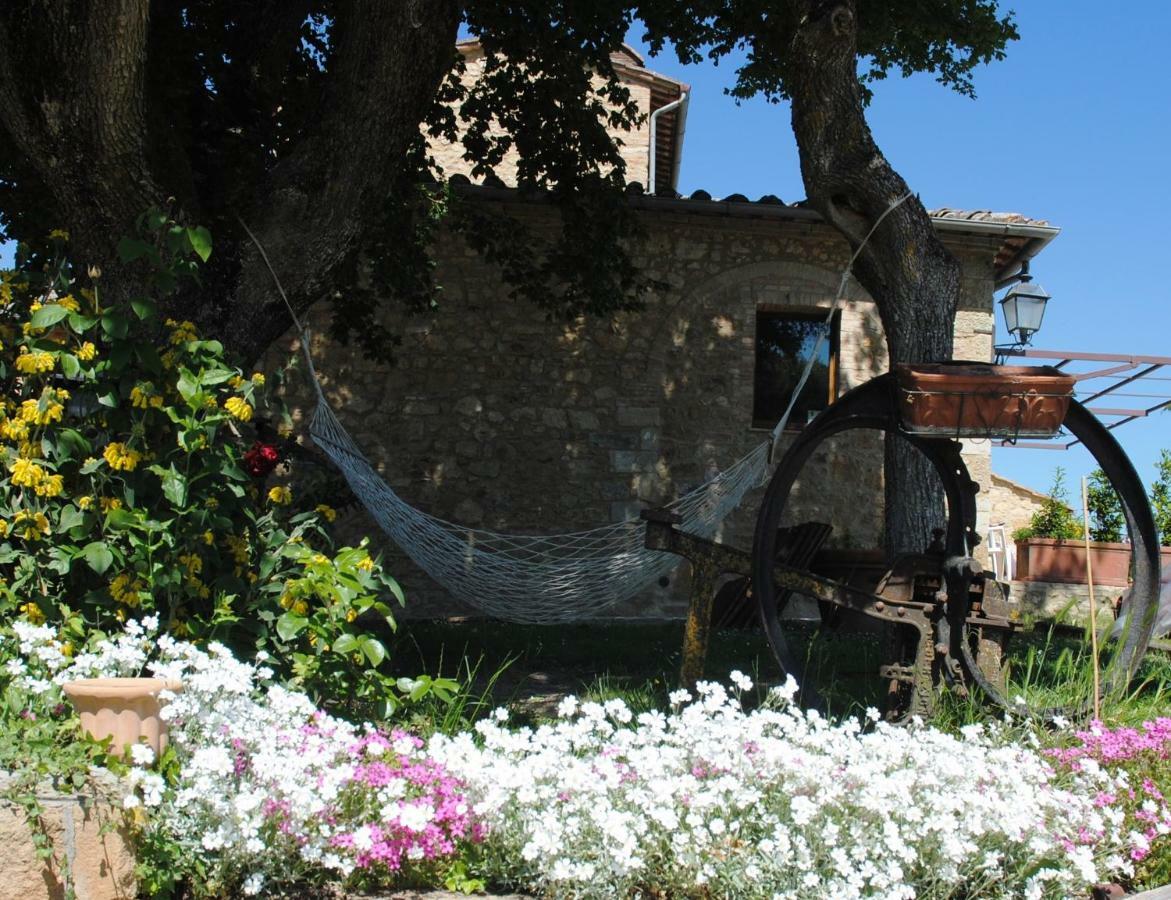 Podere La Paolina Montefollonico Exterior photo