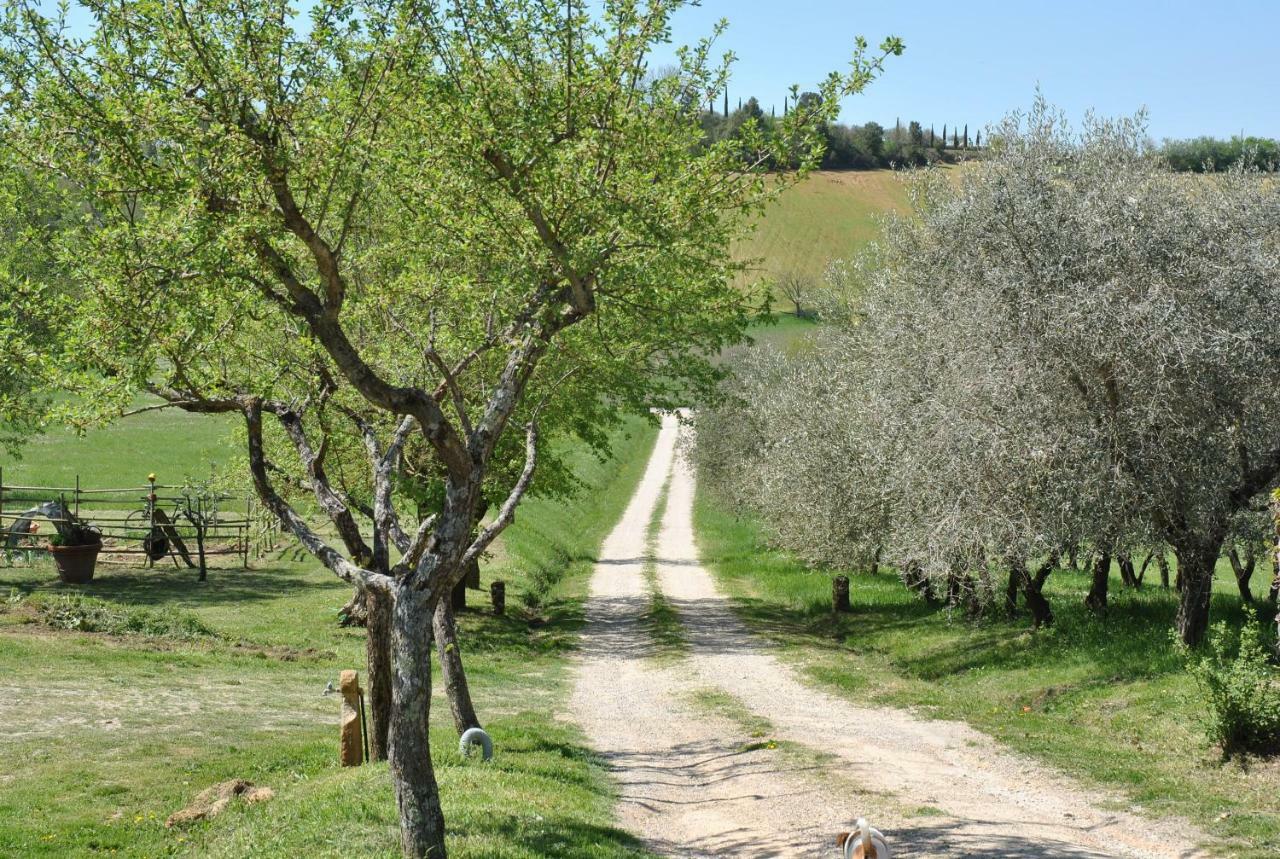 Podere La Paolina Montefollonico Exterior photo