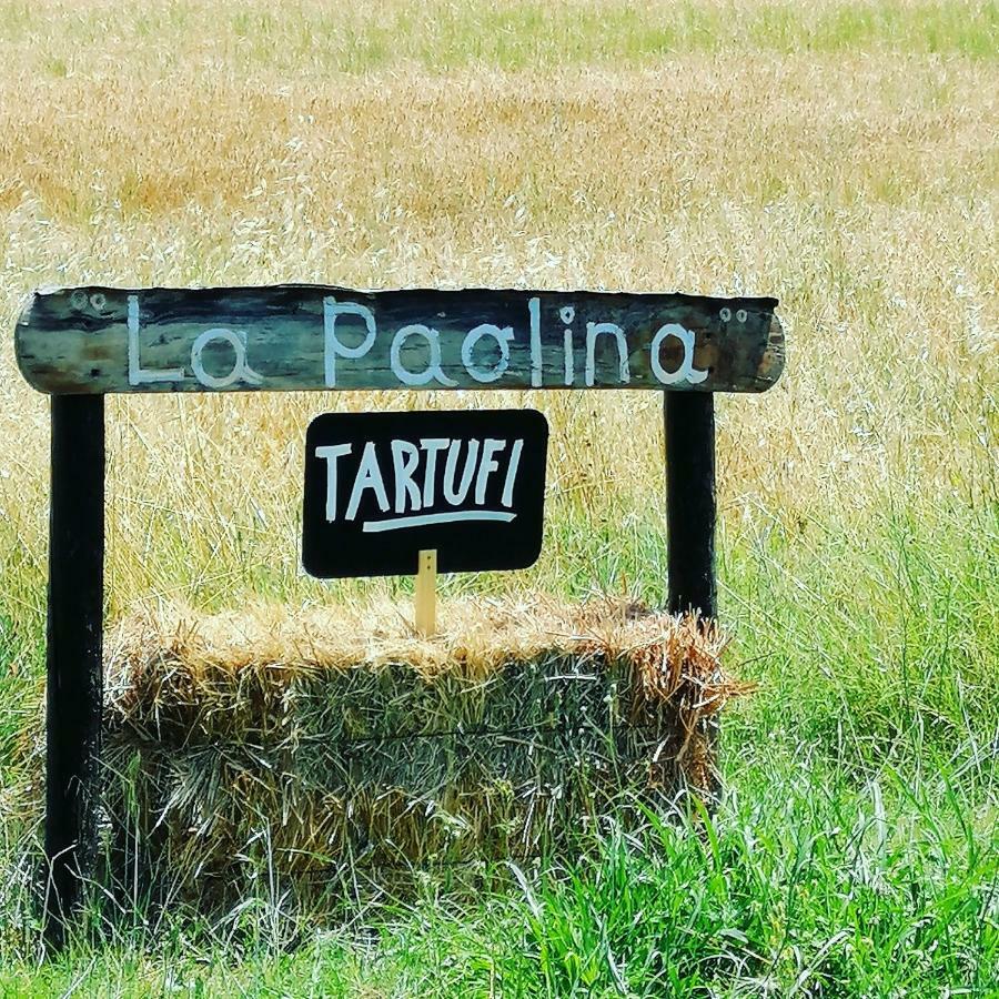 Podere La Paolina Montefollonico Exterior photo