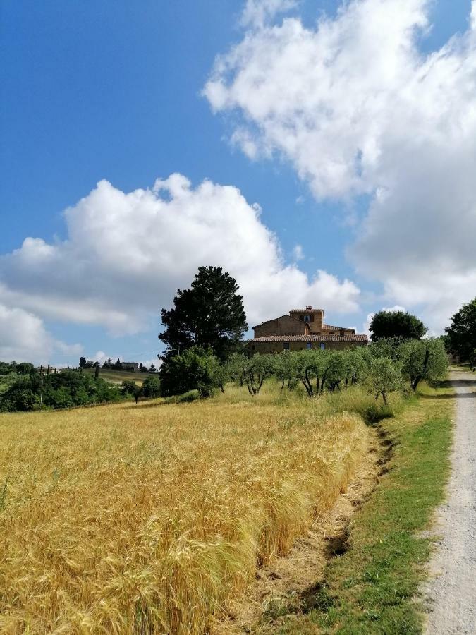 Podere La Paolina Montefollonico Exterior photo